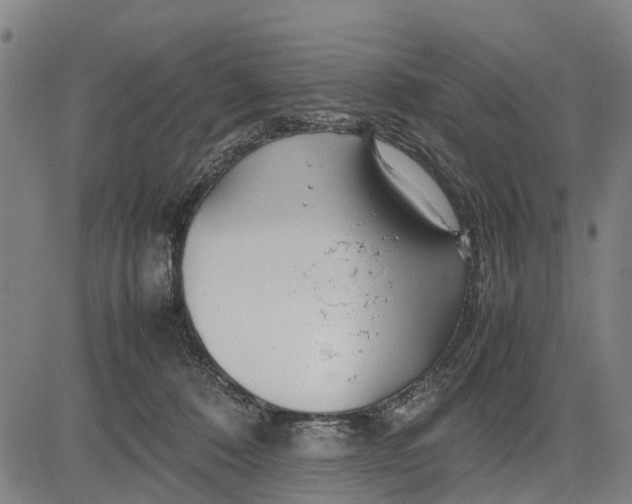 X0000083660320200703051758