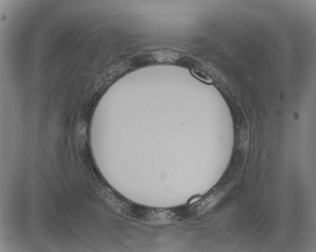 X0000083660321200703051758