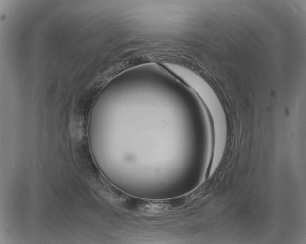 X0000083660323200703051758