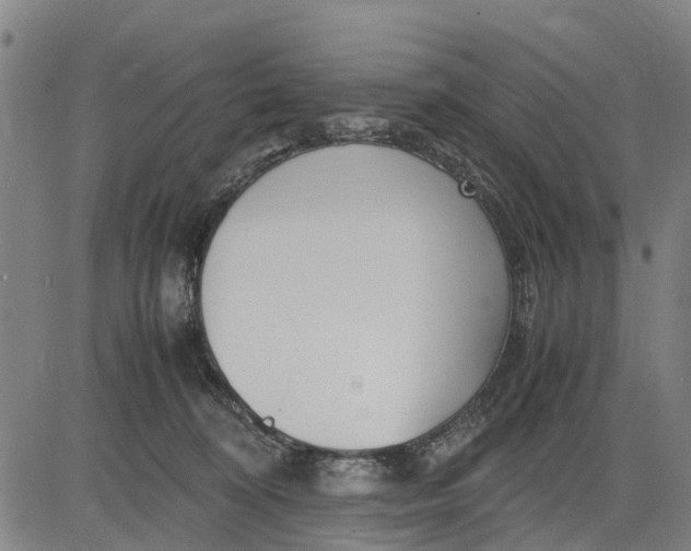 X0000083660324200703051758