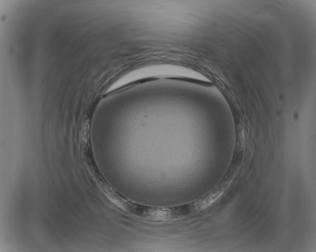 X0000083660325200703051758