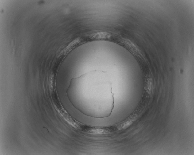 X0000083660326200703051758