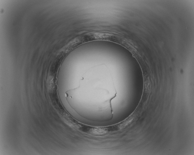 X0000083660327200703051758