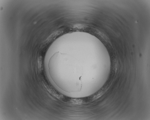 X0000083660328200703051758