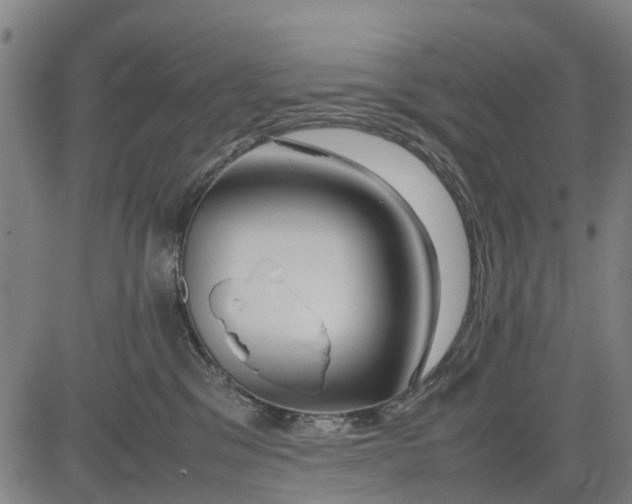 X0000083660329200703051758