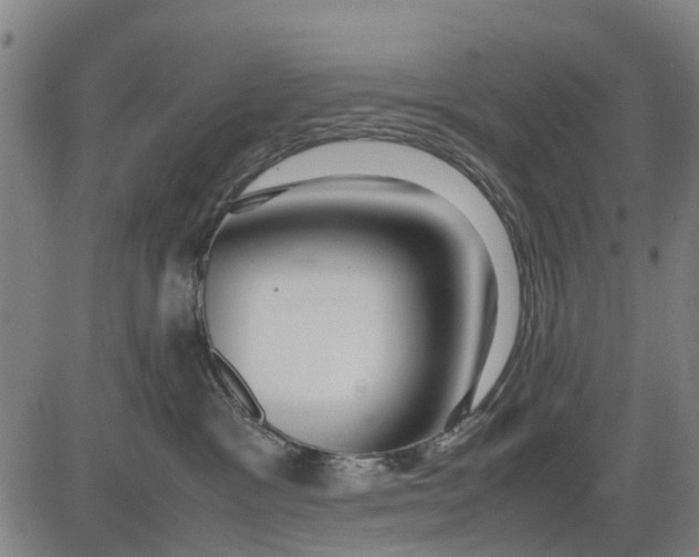 X0000083660333200703051758