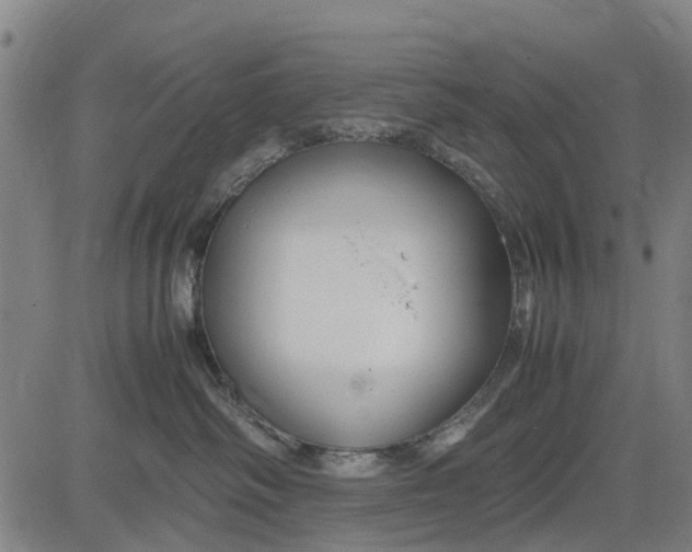 X0000083660334200703051758