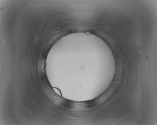 X0000083660336200703051758