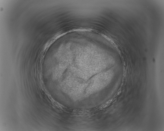 X0000083660337200703051757