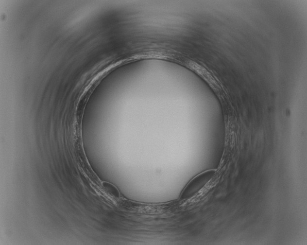 X0000083660338200703051757