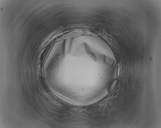 X0000083660339200703051757