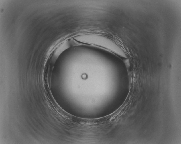 X0000083660340200703051757