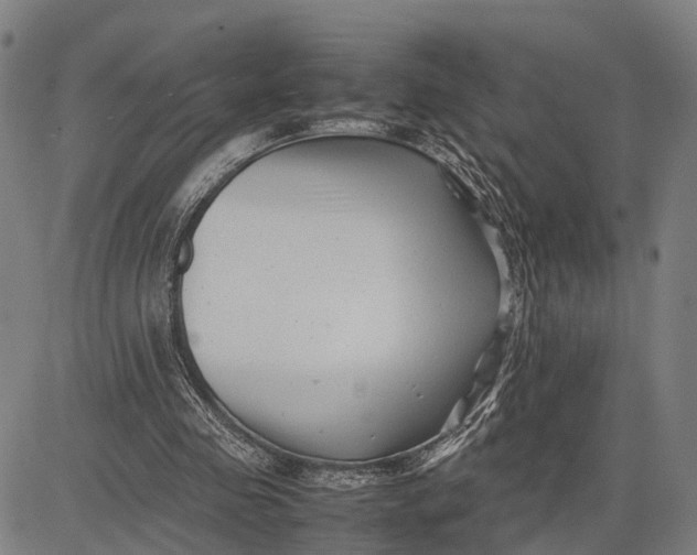 X0000083660341200703051757