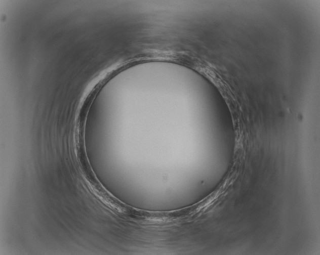 X0000083660342200703051757