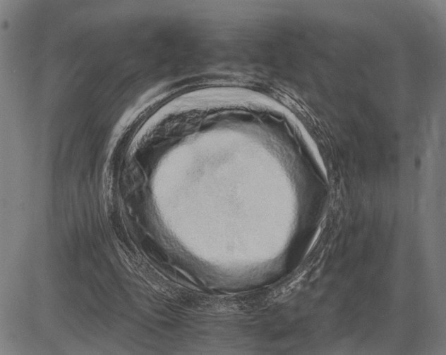 X0000083660343200703051757