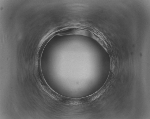 X0000083660344200703051757