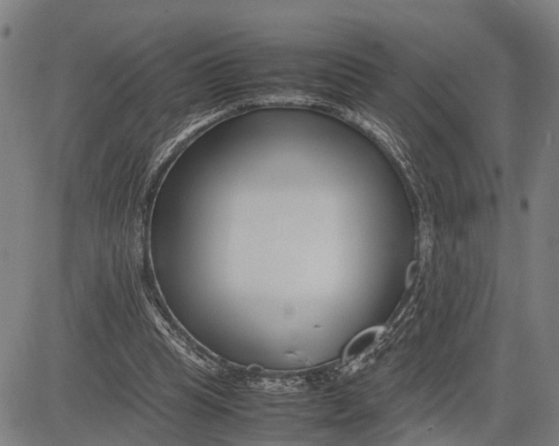 X0000083660345200703051757