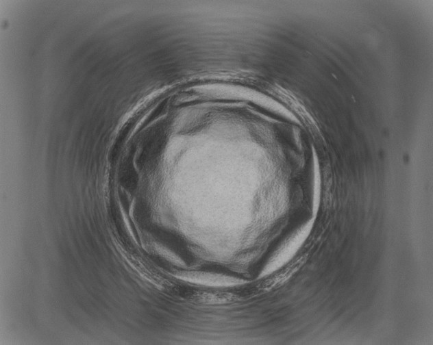 X0000083660346200703051757