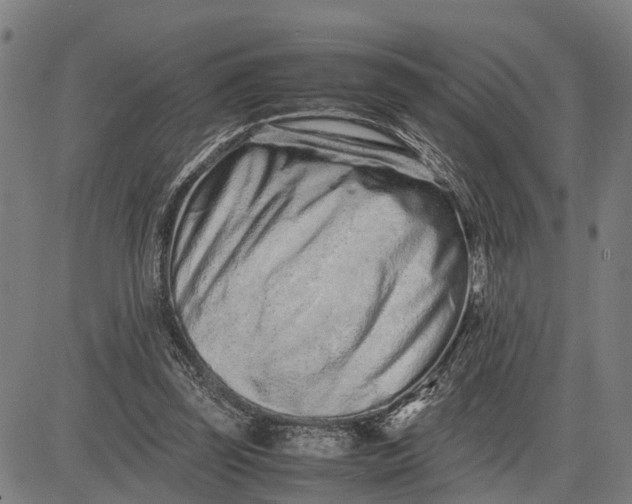 X0000083660347200703051757