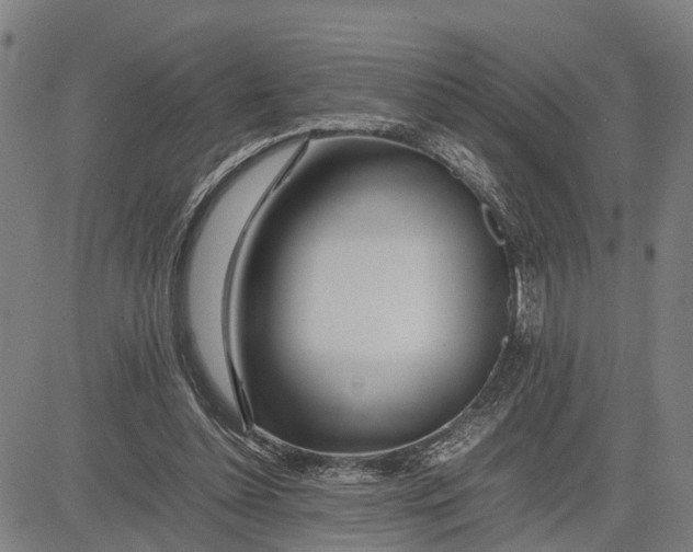 X0000083660348200703051757