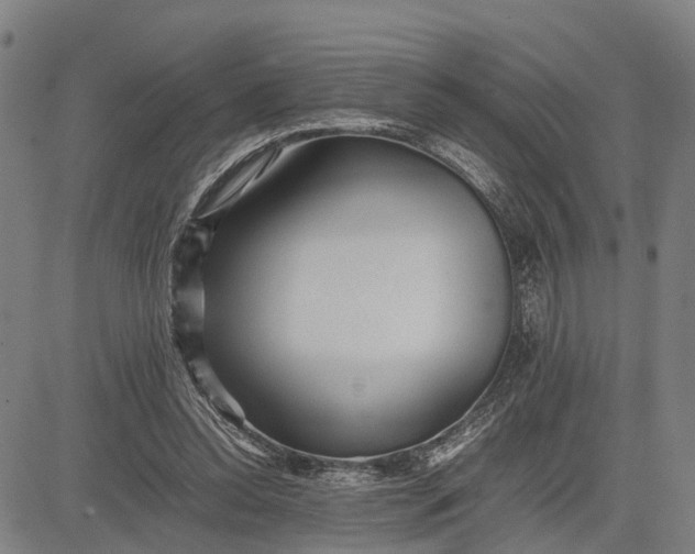 X0000083660350200703051757