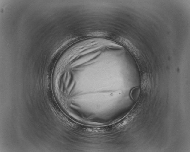 X0000083660351200703051757