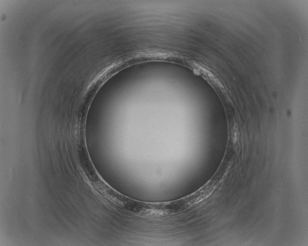 X0000083660352200703051757