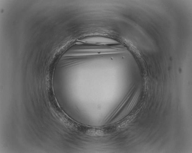 X0000083660354200703051757