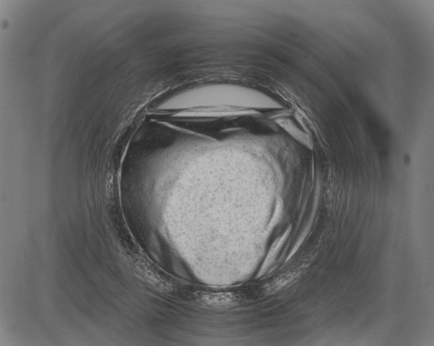 X0000083660355200703051757