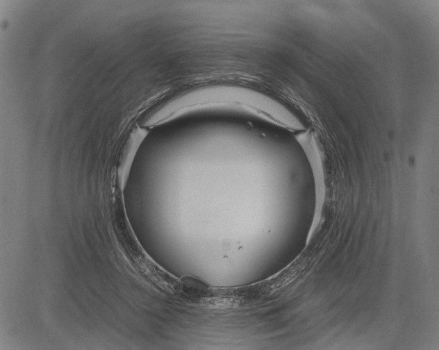 X0000083660356200703051758