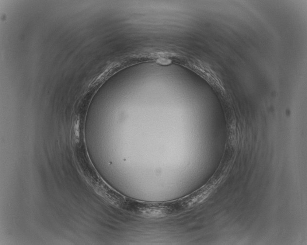 X0000083660358200703051758