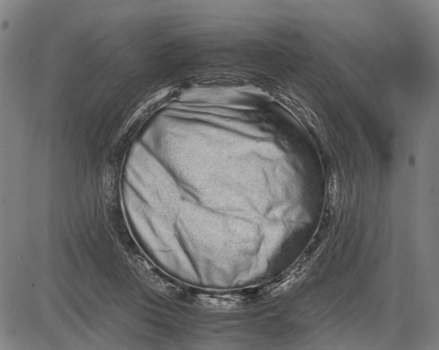 X0000083660359200703051758