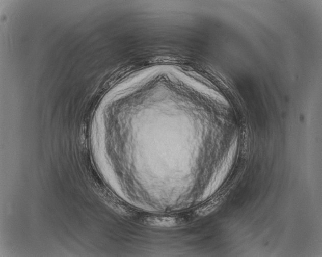 X0000083660361200703051758