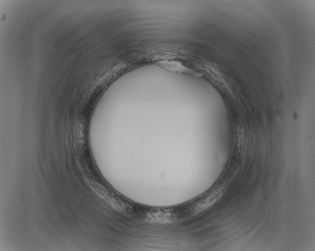 X0000083660362200703051758