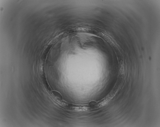 X0000083660363200703051758