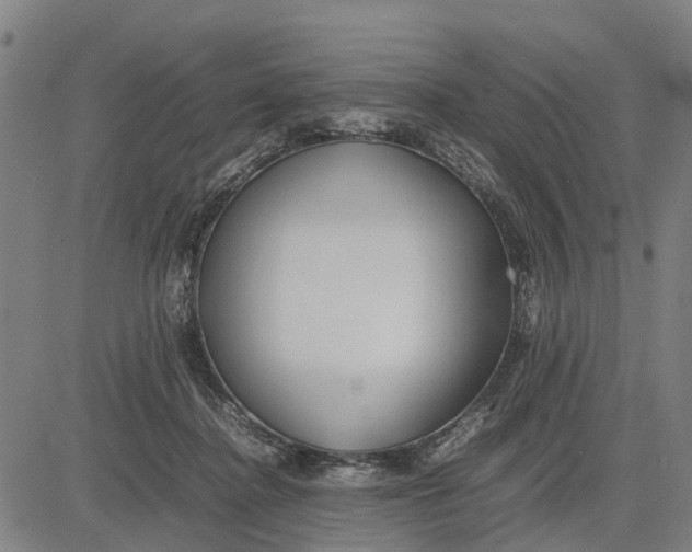 X0000083660364200703051758