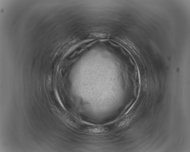 X0000083660365200703051758