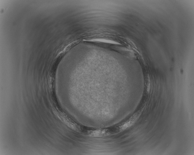 X0000083660366200703051758