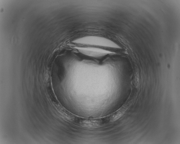 X0000083660367200703051758