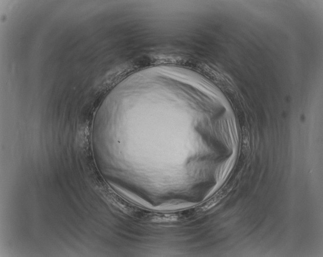 X0000083660369200703051758