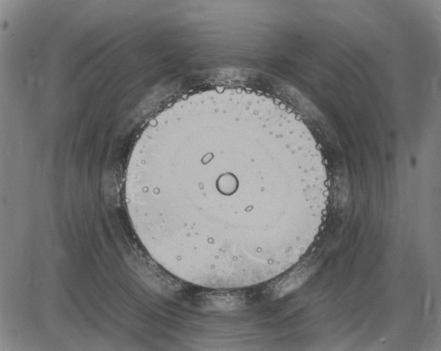 X0000083660370200703051758