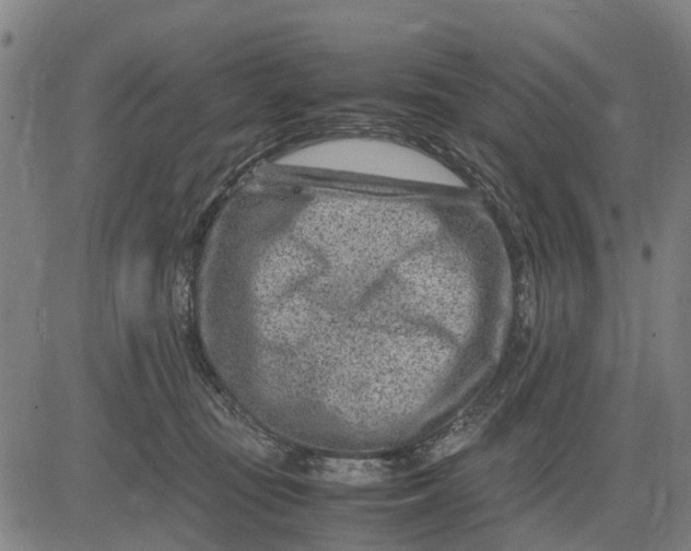 X0000083660371200703051758