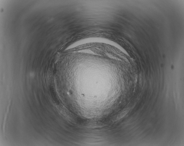 X0000083660372200703051758