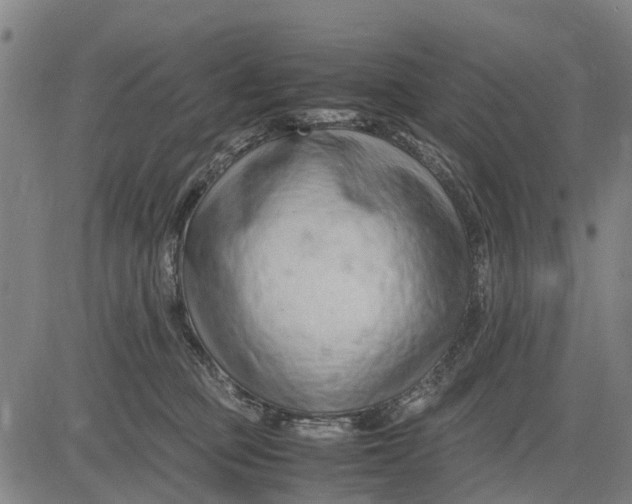 X0000083660373200703051758