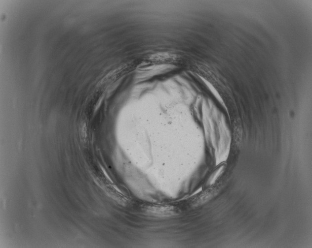 X0000083660375200703051758