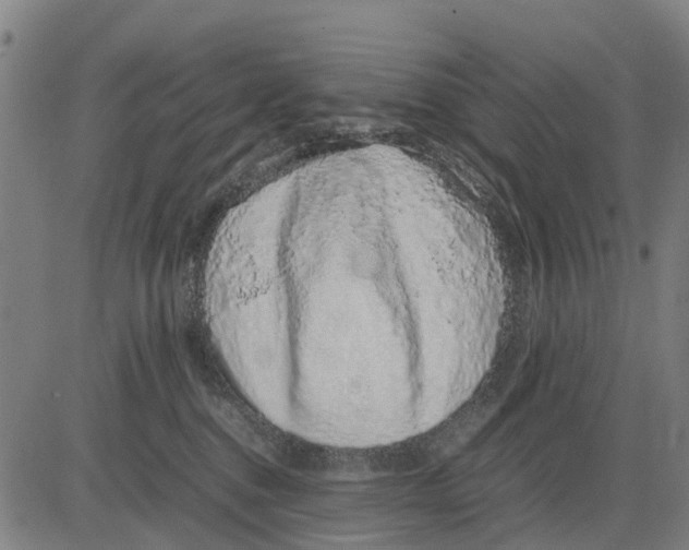 X0000083660376200703051758