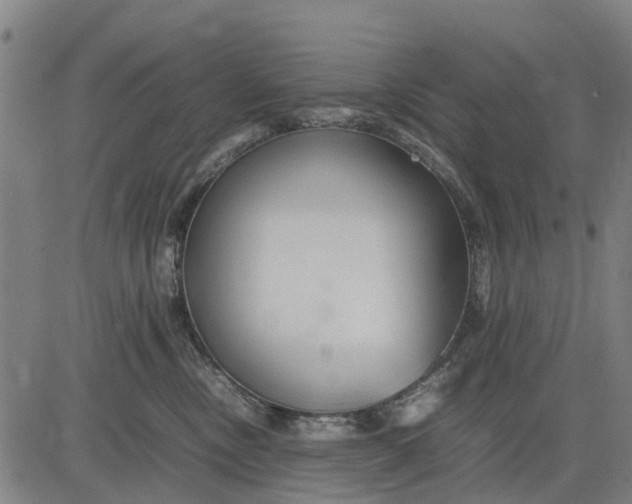 X0000083660378200703051758