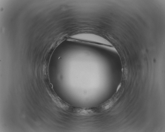 X0000083660379200703051758