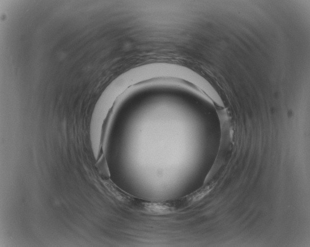 X0000083660380200703051758