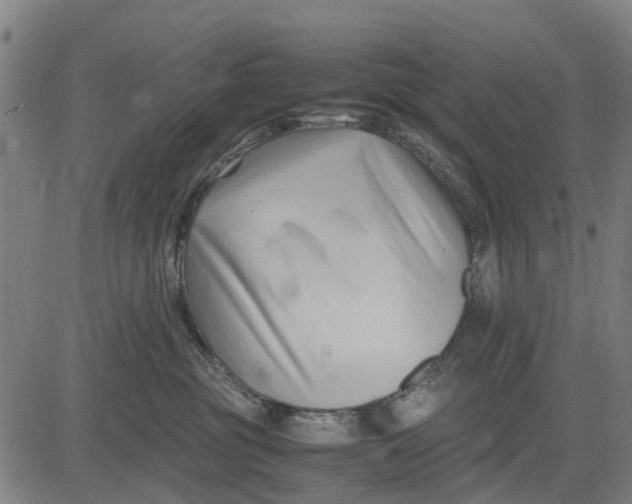 X0000083660381200703051758